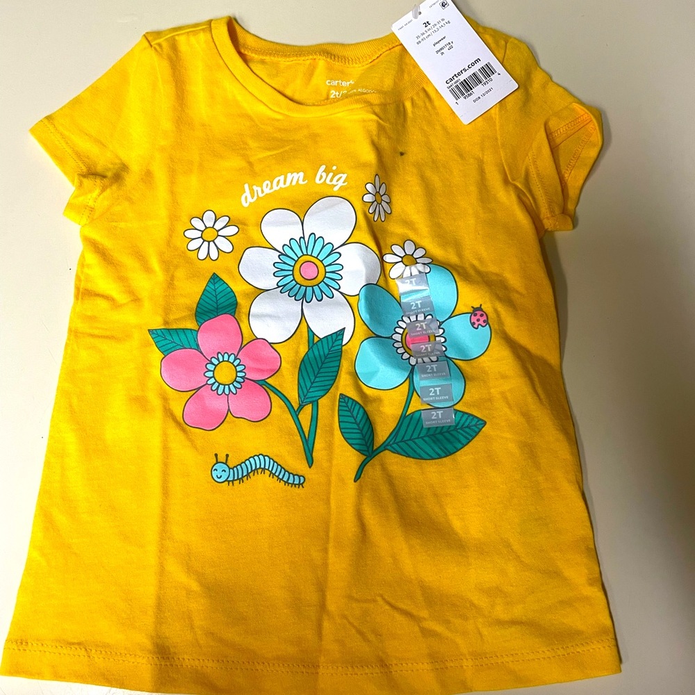 Size 2t girls top